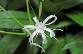 Copyright 2005 Ralph B. Lantz all rights reserved.