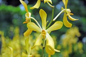 Copyright 2005 Ralph B. Lantz all rights reserved.