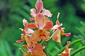 Copyright 2005 Ralph B. Lantz all rights reserved.