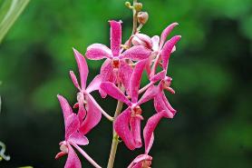 Copyright 2005 Ralph B. Lantz all rights reserved.