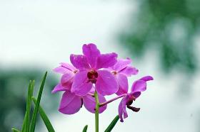 Copyright 2005 Ralph B. Lantz all rights reserved.