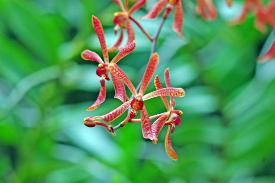 Copyright 2005 Ralph B. Lantz all rights reserved.