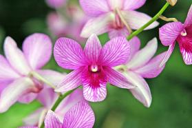 Copyright 2005 Ralph B. Lantz all rights reserved.