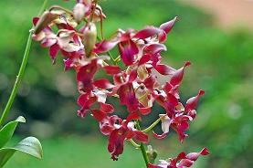 Copyright 2005 Ralph B. Lantz all rights reserved.