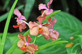 Copyright 2005 Ralph B. Lantz all rights reserved.