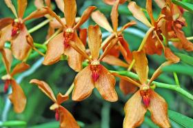 Copyright 2005 Ralph B. Lantz all rights reserved.